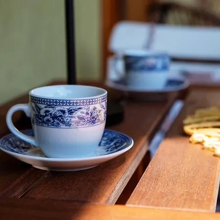 Garden View - By My In Daire *